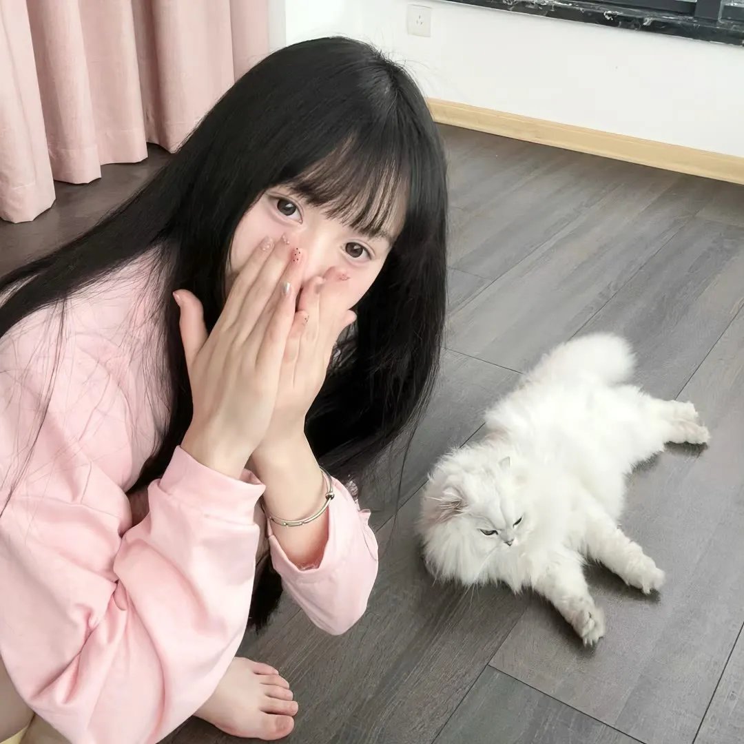 完美搭档
